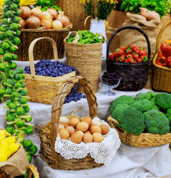 Food & Agriculture