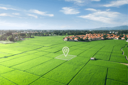Land & Plots