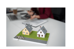 Real Estate Services (agents,