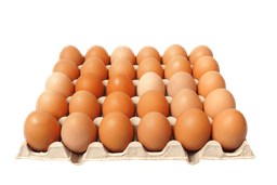 Dairy & Eggs