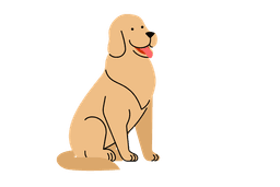 Pets & Animals